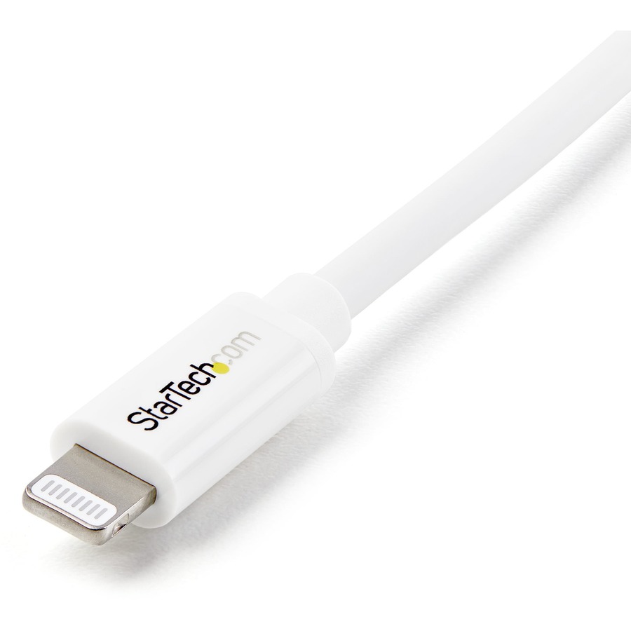 Pro AV/IT Lightning Male to USB-C Male Cable Black 3ft