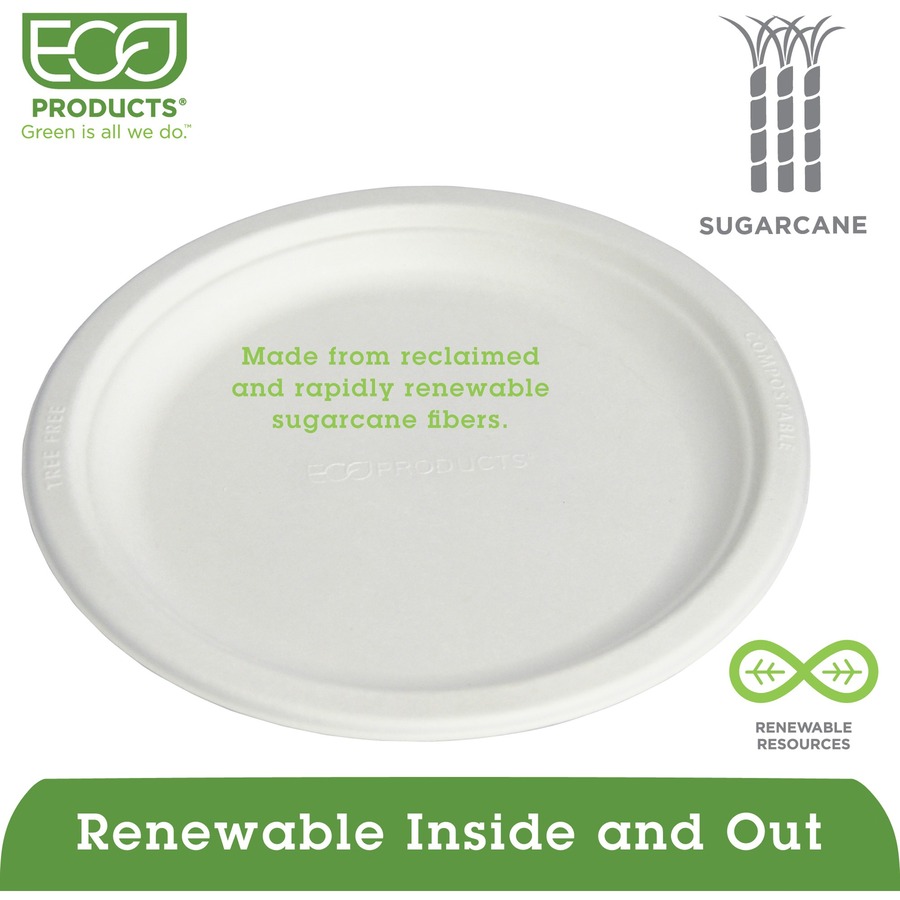 ECOEPP013CT