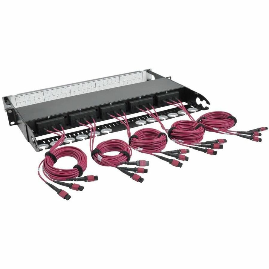 Tripp Lite by Eaton 40/100Gb Fiber Breakout Patch Panel 40Gb to 4 x 10Gb 100Gb to 4 x 25Gb 15 MTP QSFP to 60 LC Duplex OM4 50/125 Multimode Ports 1U
