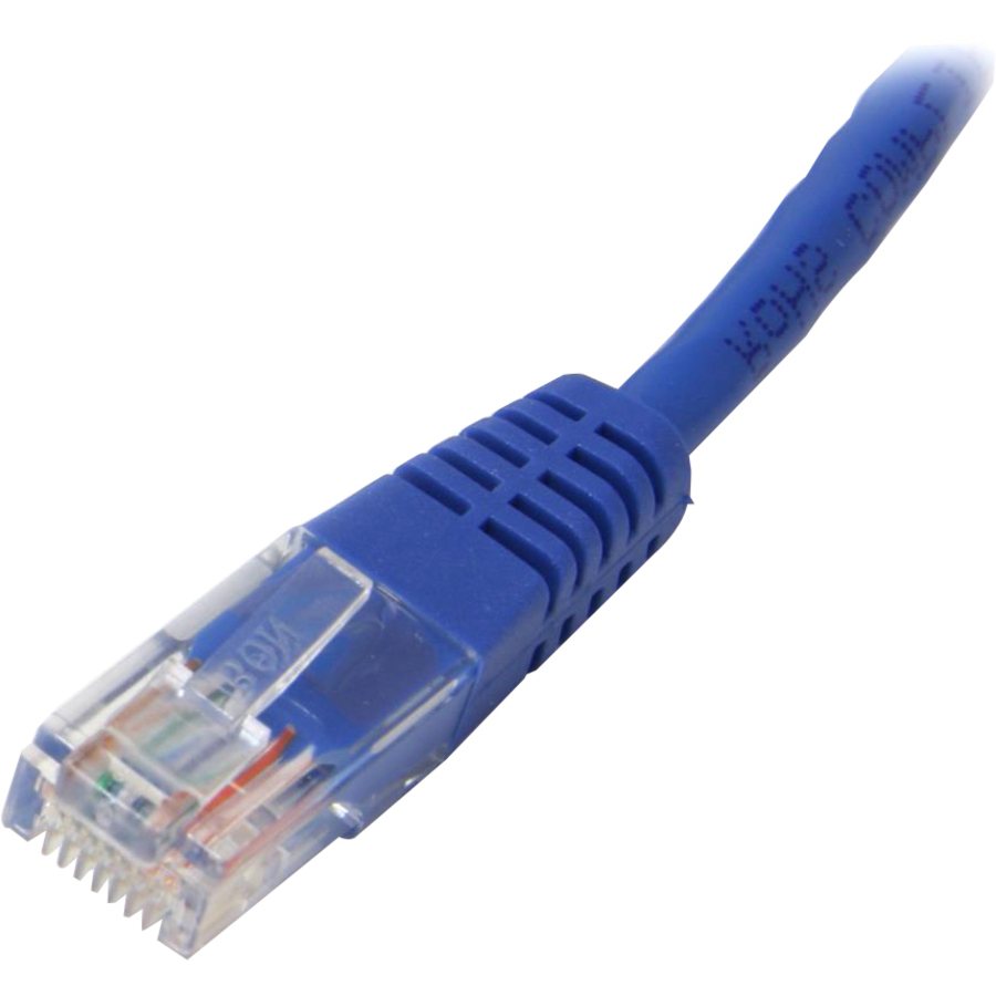 StarTech 75 ft Blue Molded Cat5e UTP Patch Cable