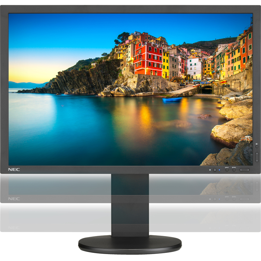 NEC Display Professional P243W-BK WUXGA LCD Monitor - 16:10 - Black