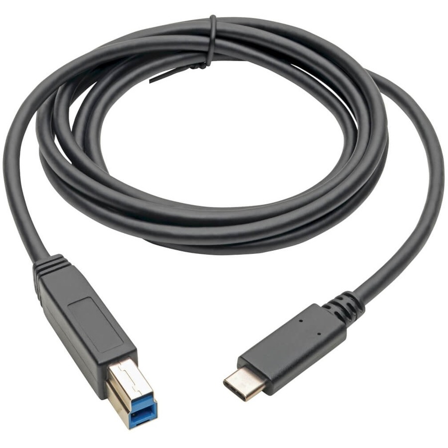 Tripp Lite U422-006 USB Type-C to USB Type-B Cable, 6 ft. - 6 ft USB Data Transfer Cable for Ultrabook, Docking Station, Printer, Tablet, Scanner, Smartphone, Chromebook, External Hard Drive, MacBook, Notebook, Wall Charger - First End: 1 x USB 3.1 Type C