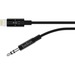 BELKIN 3.5 mm Audio Cable With Lightning Connector - 6 ft. (Black) (AV10172bt06-BLK)