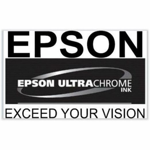 Epson UltraChrome Pro10 770 Original Inkjet Ink Cartridge - Light Gray Pack - Inkjet