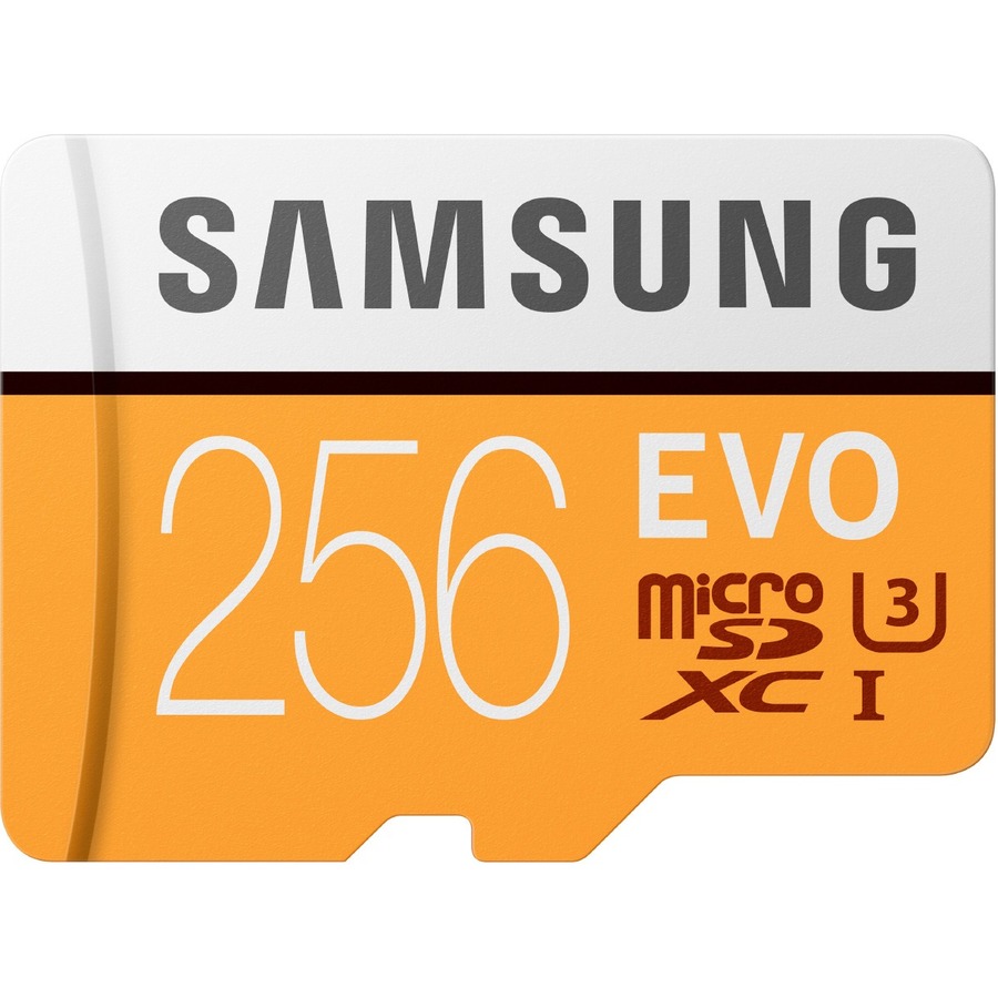 Samsung EVO 256 GB Class 10 microSDXC - 100 MB/s Read - 90 MB/s Write