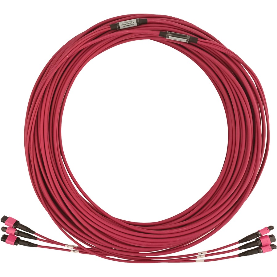 Tripp Lite N858B-45M-3X8MG Fiber Optic Trunk Network Cable - 147.6 ft Fiber Optic Network Cable for Network Device, Switch, Patch Panel - First End: 3 x MTP/MPO Network - Female - Second End: 3 x MTP/MPO Network - Female - 400 Gbit/s - Trunk Cable - LSZH,