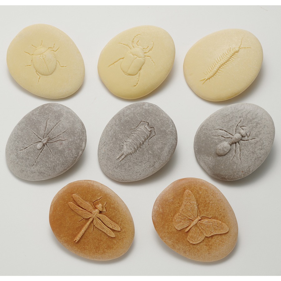 Let's Investigate Bugs - Set of 8 Stones - Life Science - YLDYUS1042