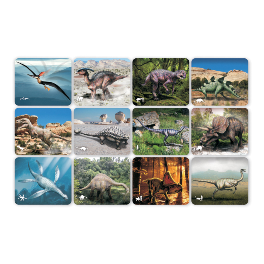 Roylco Discover Dinosaurs Picture Cards & X-rays - Skill Learning: Exploration, Concentration, Creativity - 24 Pieces - 4+ - Life Science - ROY59240