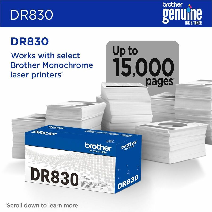 Brother Genuine DR830 Drum Unit - Laser - 15000 Pages - 1 Each