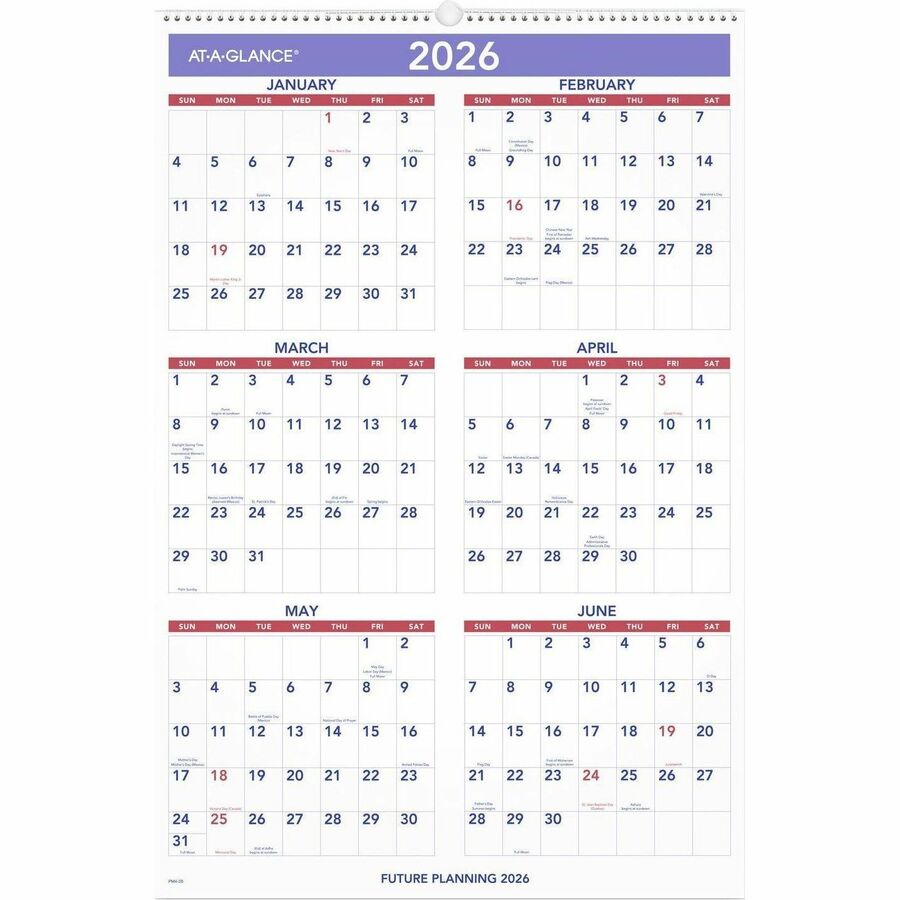 AtaGlance 2025 Monthly Wall Calendar, Large, 20" x 30" Calendars