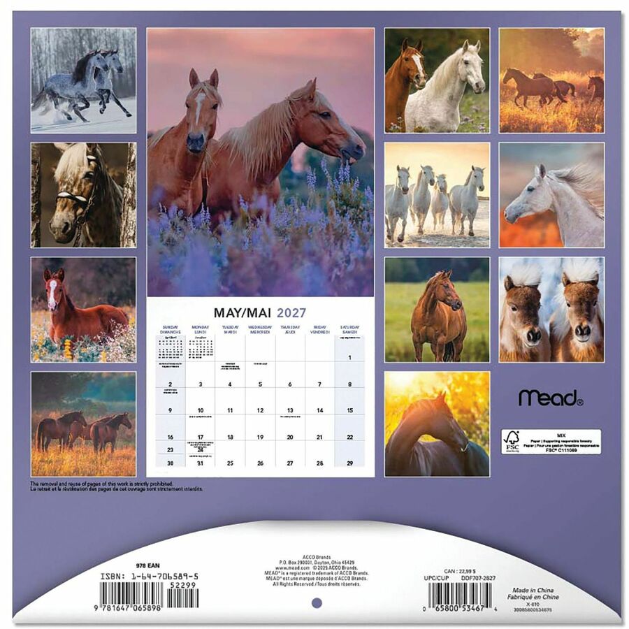 Calendrier mural Mead&reg; 2027 de 16 mois, Chevaux