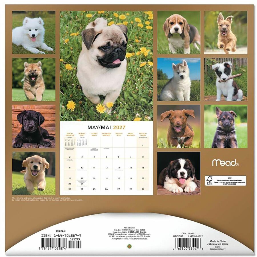 Calendrier mural Mead&reg; 2027 de 16 mois, Chiots
