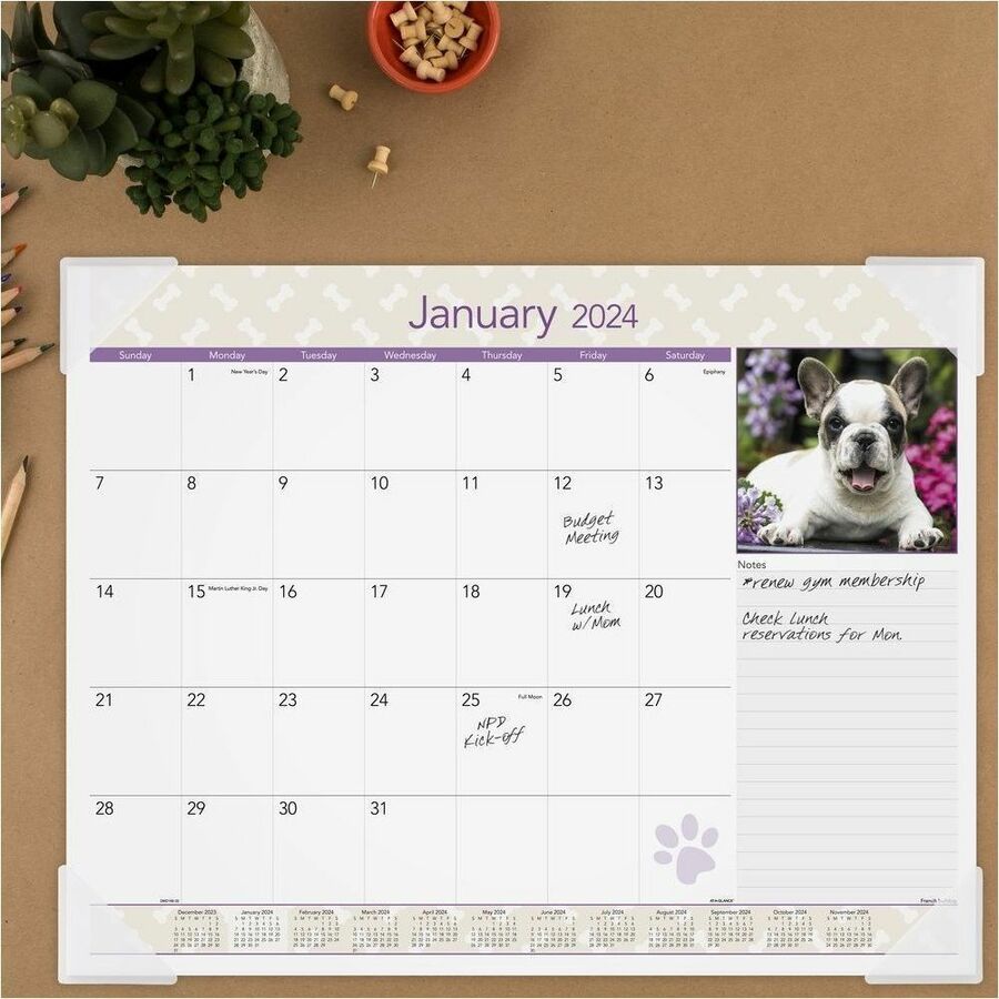 At-A-Glance Puppies Desk Pad - Standard Size - Monthly - 12 Month - January 2024 - December 2024 - 1 Month Single Page Layout - 21 3/4" x 17" White Sheet - Desktop, Desk Pad - White - Paper - Full-color Photos of Puppies, Bleed Resistant Paper, Unruled Da