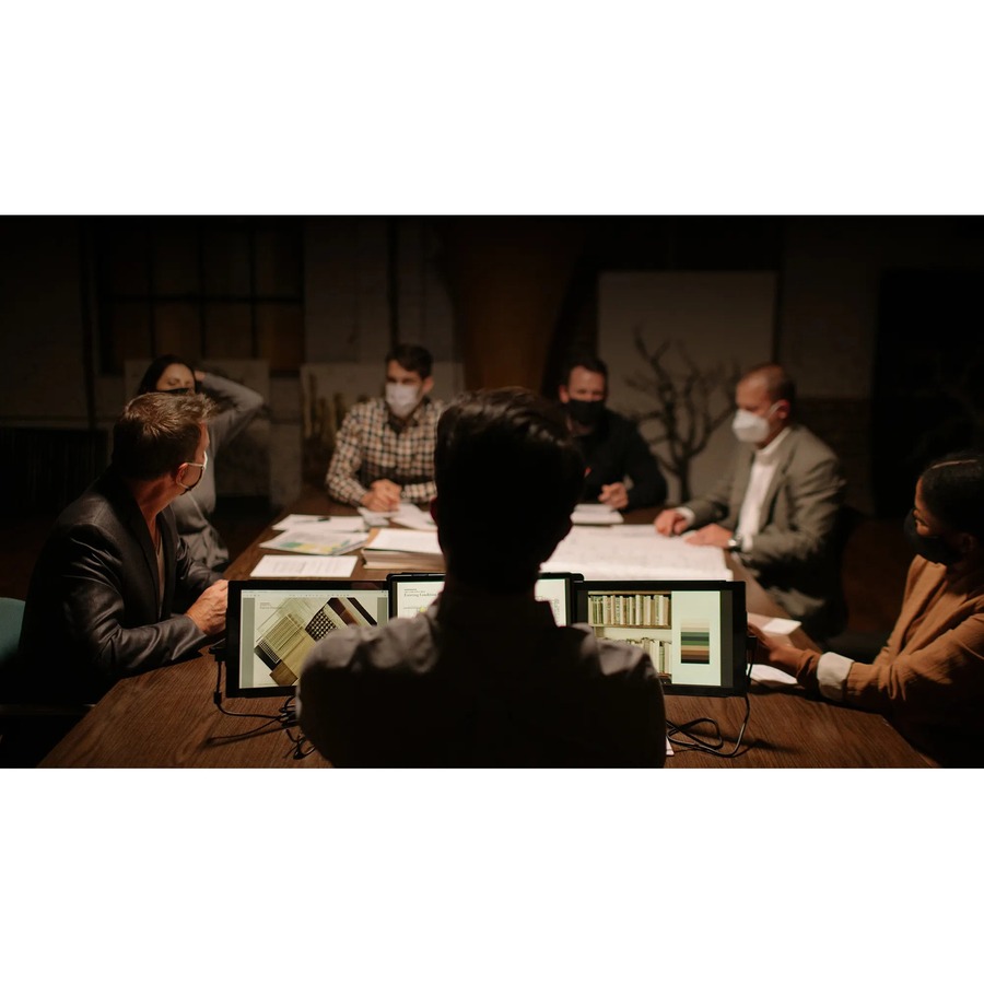 Mobile Pixels TRIO 13" Class Full HD LCD Monitor - 16:9 - Gunmetal Gray