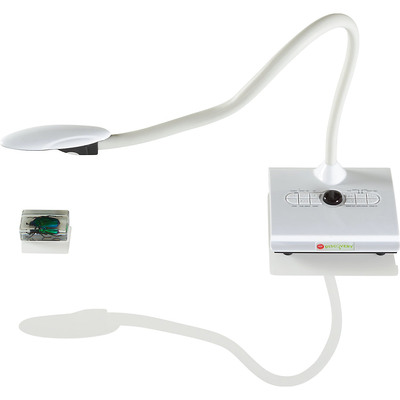 Alternate-Image11