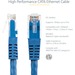 Startech  Cat 6 Molded RJ45 UTP Gigabit Patch Cable - Blue 100ft (C6PATCH100BL)