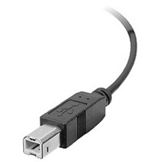 SIIG USB 2.0 B Type to 5 Pin Header internal USB cable for motherboard connection — alternate view 2
