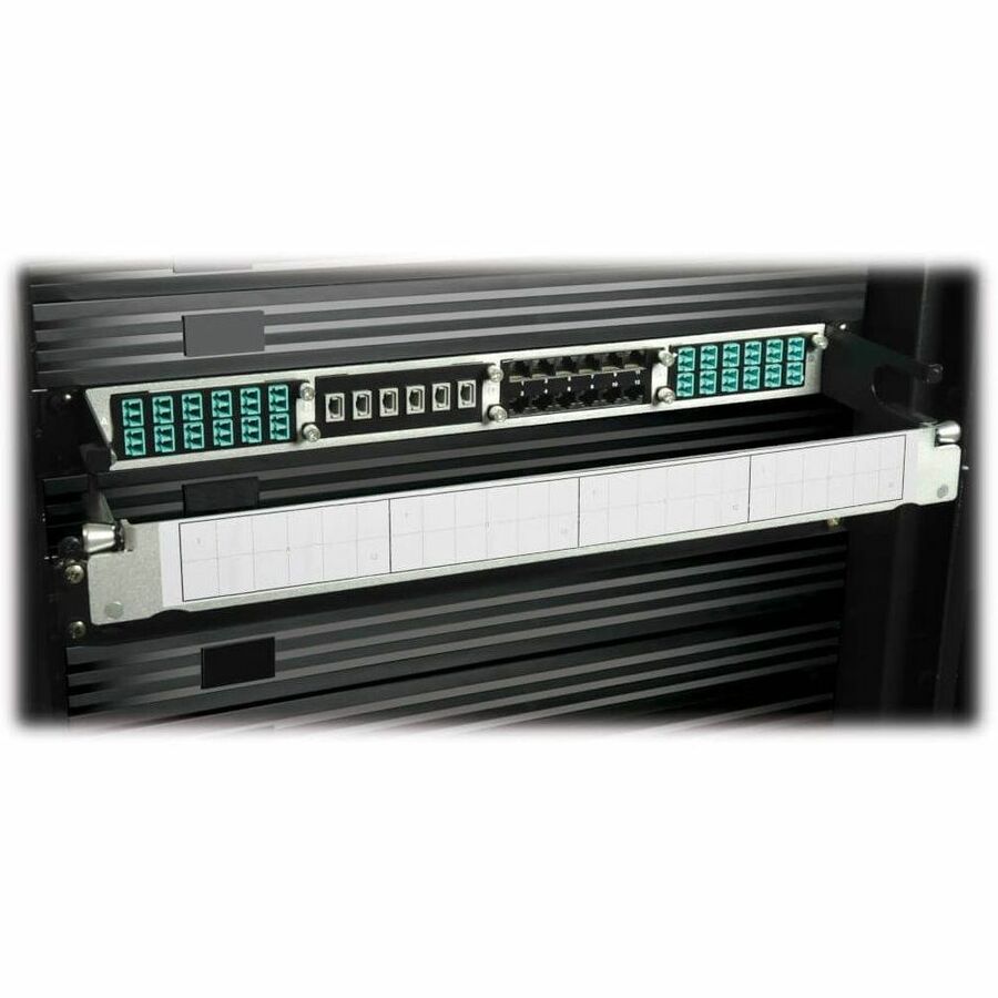 Tripp Lite by Eaton High Density Cat6A Pass-Through Cassette 12 RJ45 - 24 x RJ-45