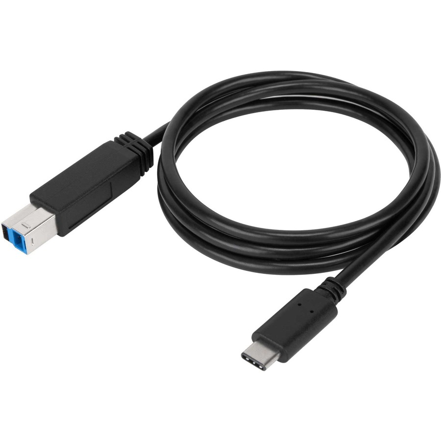 Targus 1-Meter USB-C to USB-B 5Gbps Cable