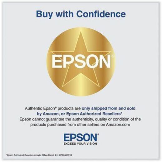 Epson UltraChrome PRO6 T48L Original High Yield Inkjet Ink Cartridge - Gray - 1 Pack