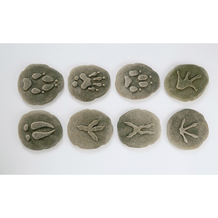 Let's Investigate Woodland Footprints - Set of 8 Stones - Life Science - YLDYUS1072