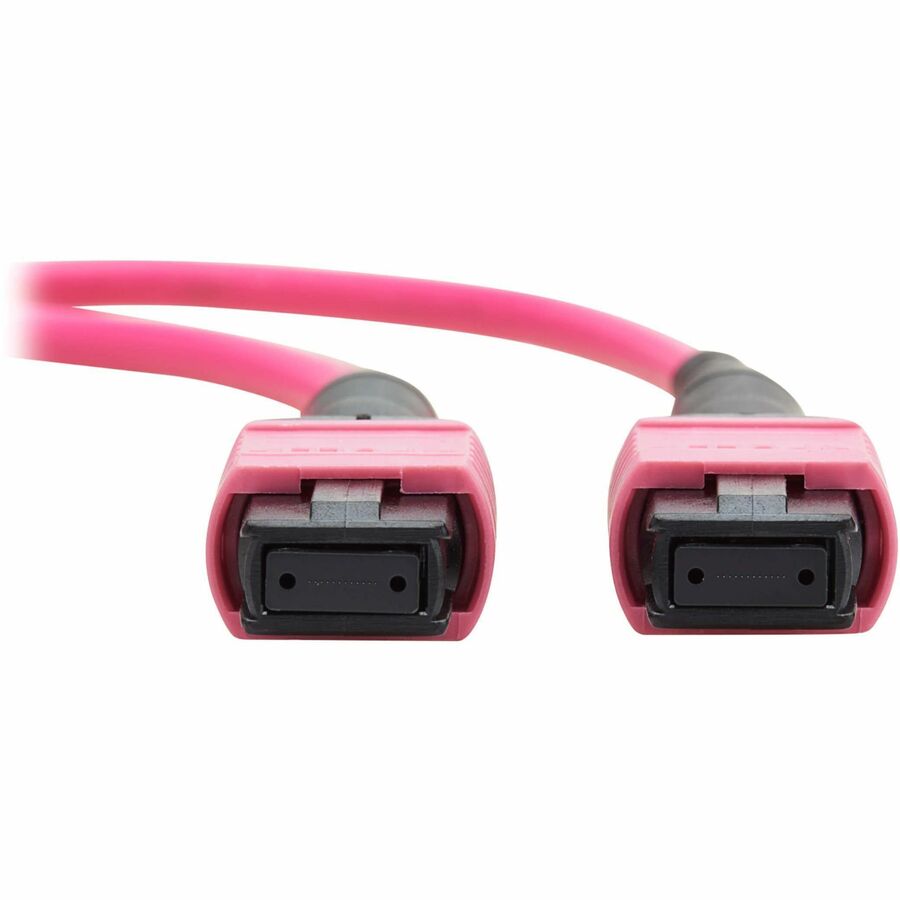 Eaton Tripp Lite Series 100G Multimode 50/125 OM4 Fiber Optic Cable (12F MTP/MPO-PC F/F), OFNP, Magenta, 5 m (16.4 ft.), TAA