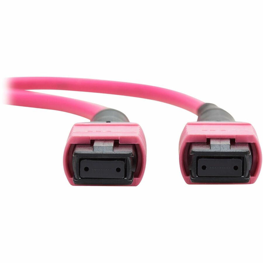 Eaton Tripp Lite Series 100G Multimode 50/125 OM4 Fiber Optic Cable (12F MTP/MPO-PC F/F), OFNP, Magenta, 2 m (6.6 ft.), TAA