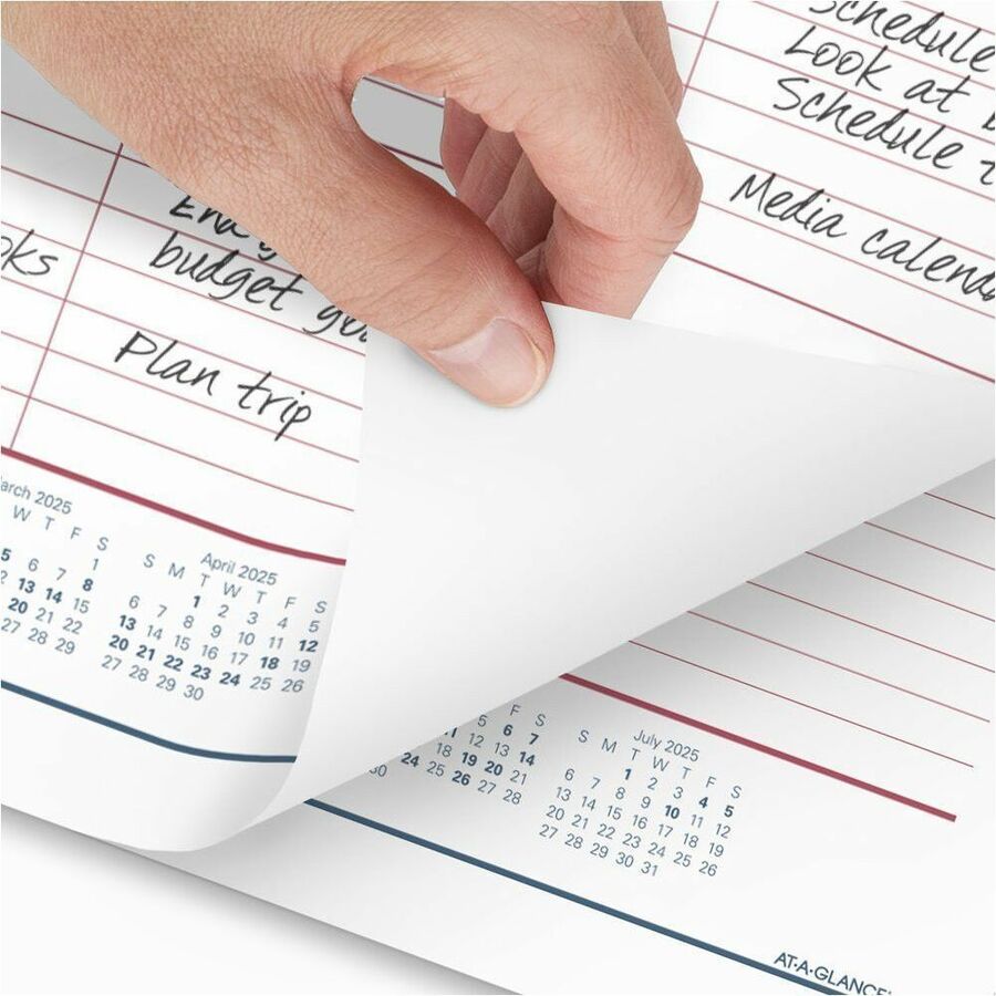 AtAGlance Academic 20242025 Two Color Monthly Desk Pad Calendar