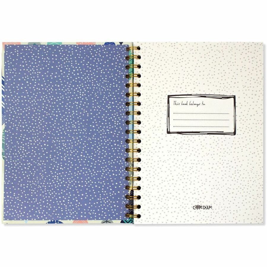 Pukka Pads B5 Spiral Hard-cover Notebook