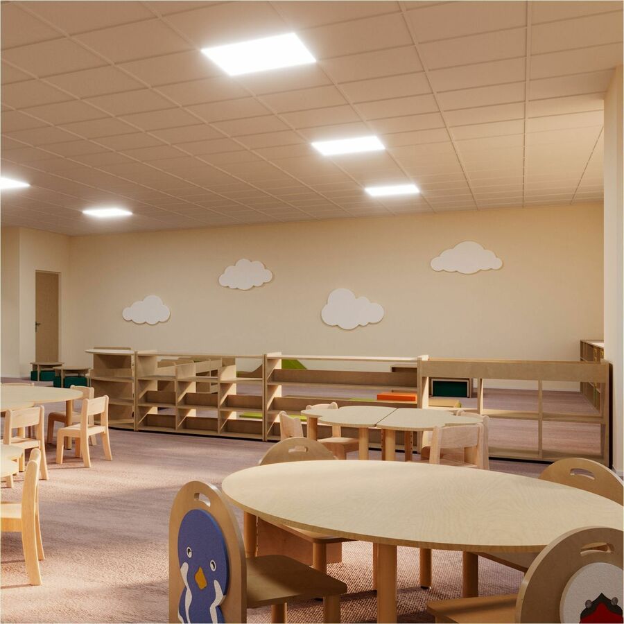 bloom Boreal Curve 3