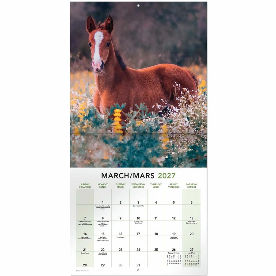 Calendrier mural Mead&reg; 2027 de 16 mois, Chevaux