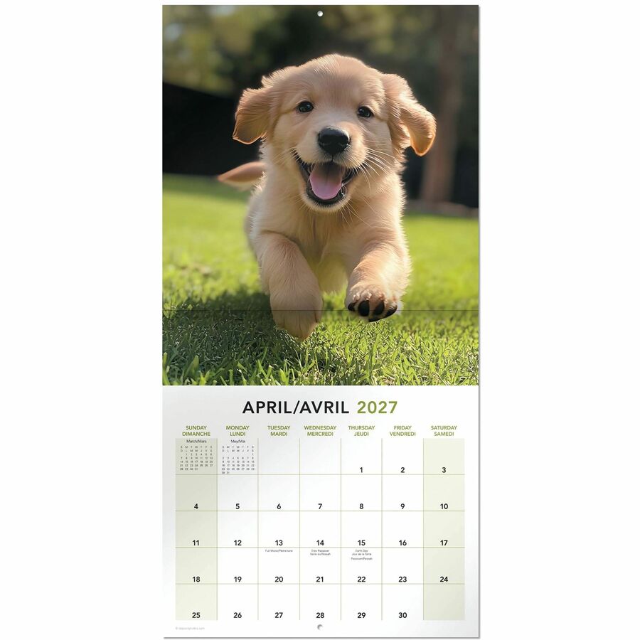 Calendrier mural Mead&reg; 2027 de 16 mois, Chiots