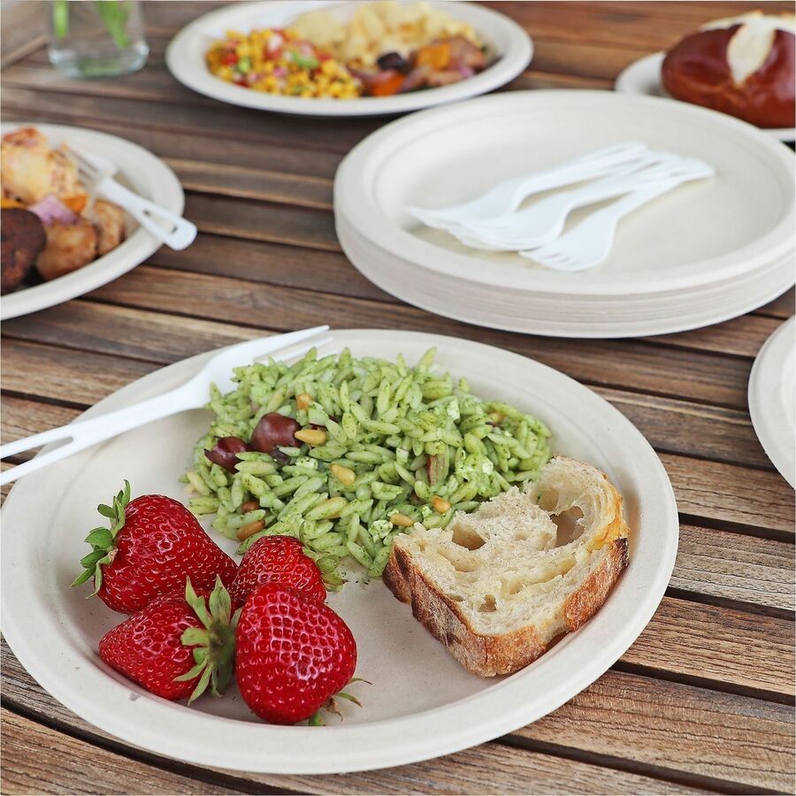 World Centric 9" Compostable Fiber Plates - Food, Breakroom, Picnic, Party - 9" Diameter - Beige, Natural - Fiber Body - 20 / Pack