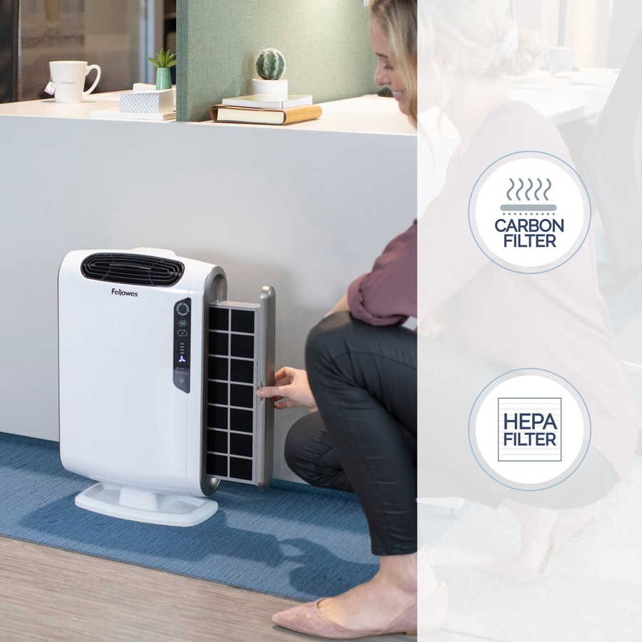 AeraMax® DX55 Air Purifier - True HEPA, PlasmaTrue - 400 Sq. ft. - White