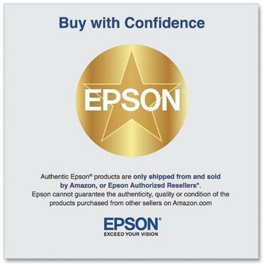 Epson T41N Original Inkjet Ink Cartridge - Cyan Pack - Inkjet