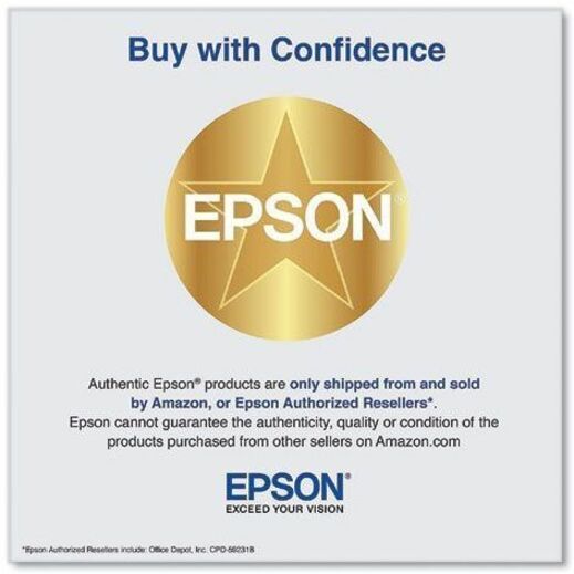 Epson UltraChrome Pro10 770 Original Inkjet Ink Cartridge - Light Gray Pack - Inkjet