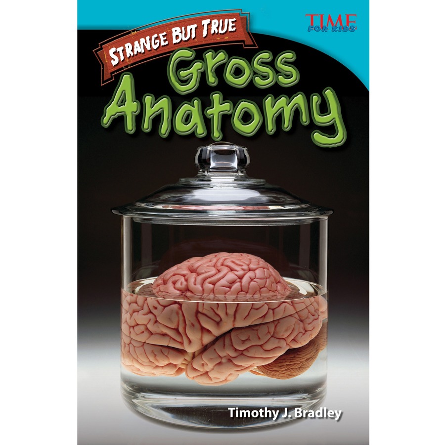 Picture of Shell Education Learn At Home Grade Level Bundle Printed Book