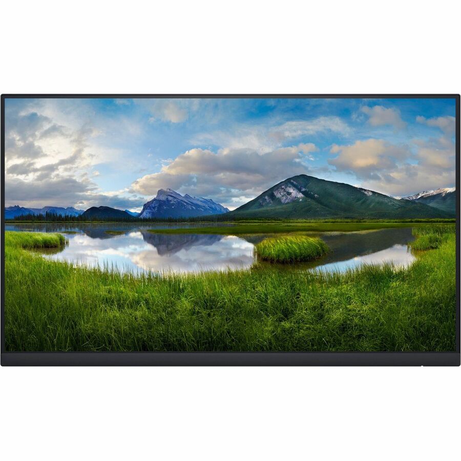 Dell P2422H 24" Class Full HD LCD Monitor - 16:9 - 23.8" Viewable - In-plane Switching (IPS) Technology - WLED Backlight - 1920 x 1080 - 16.7 Million Colors - 250 Nit - 5 msGTG (Fast) - HDMI - VGA - DisplayPort