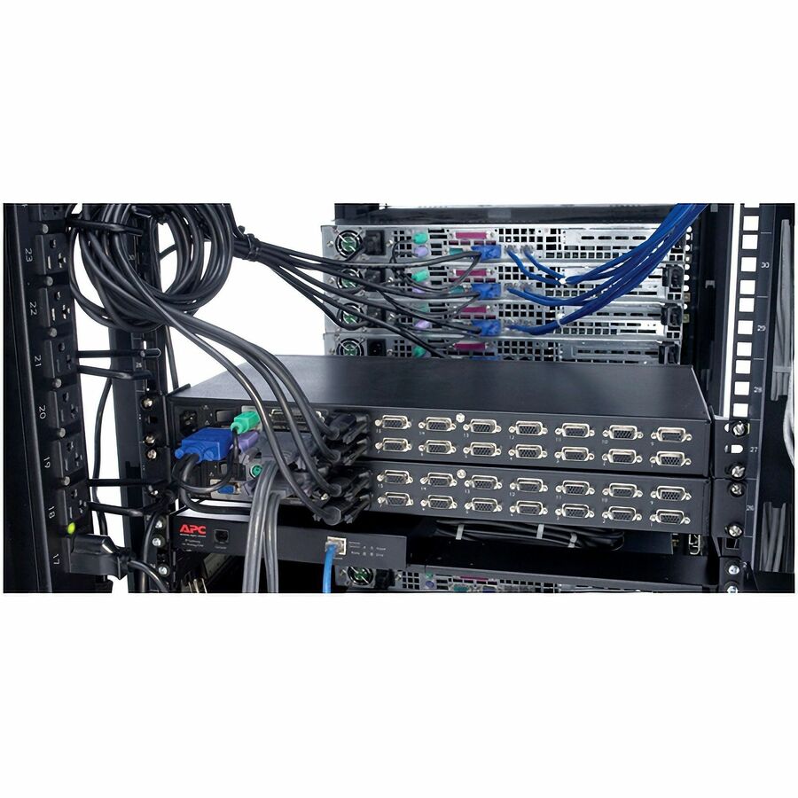 APC KVM Daisy-Chain Cable - 6 ft (1.8 m)