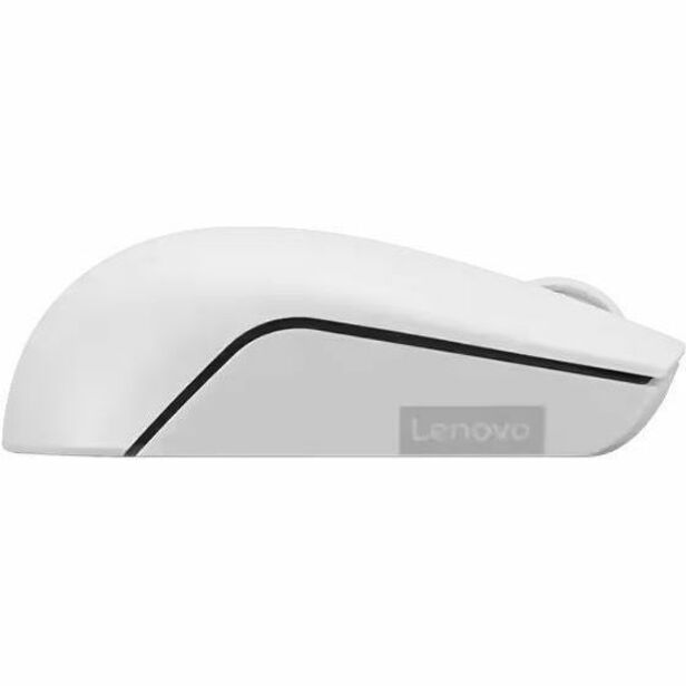 Lenovo 300 Wireless Compact Mouse (Cloud Grey) with battery