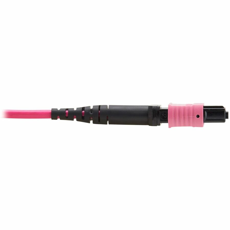 Eaton Tripp Lite Series 100G Multimode 50/125 OM4 Fiber Optic Cable (12F MTP/MPO-PC F/F), OFNP, Magenta, 5 m (16.4 ft.), TAA