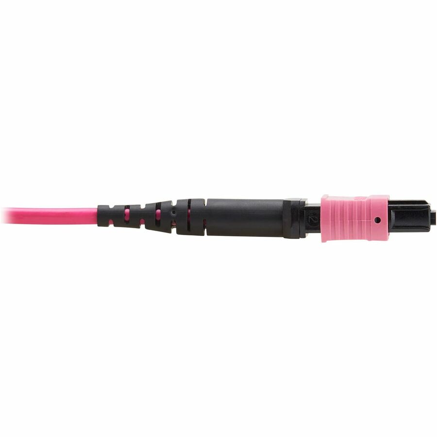 Eaton Tripp Lite Series 100G Multimode 50/125 OM4 Fiber Optic Cable (12F MTP/MPO-PC F/F), OFNP, Magenta, 2 m (6.6 ft.), TAA