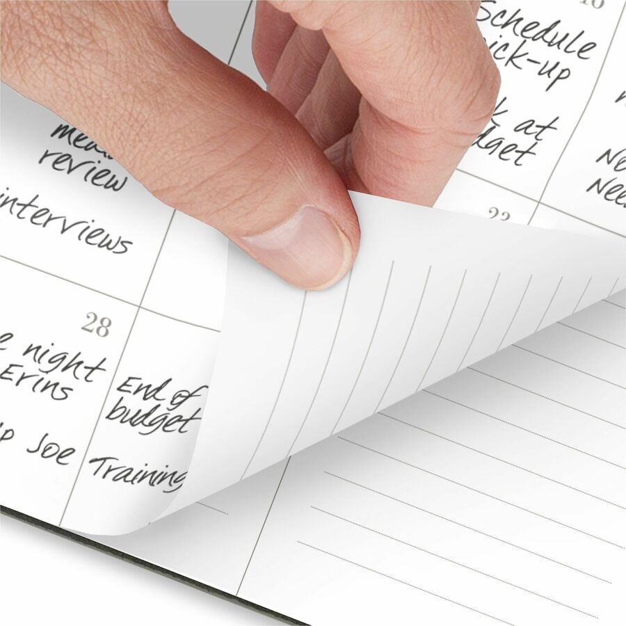 Thumbnail image 3 of 11