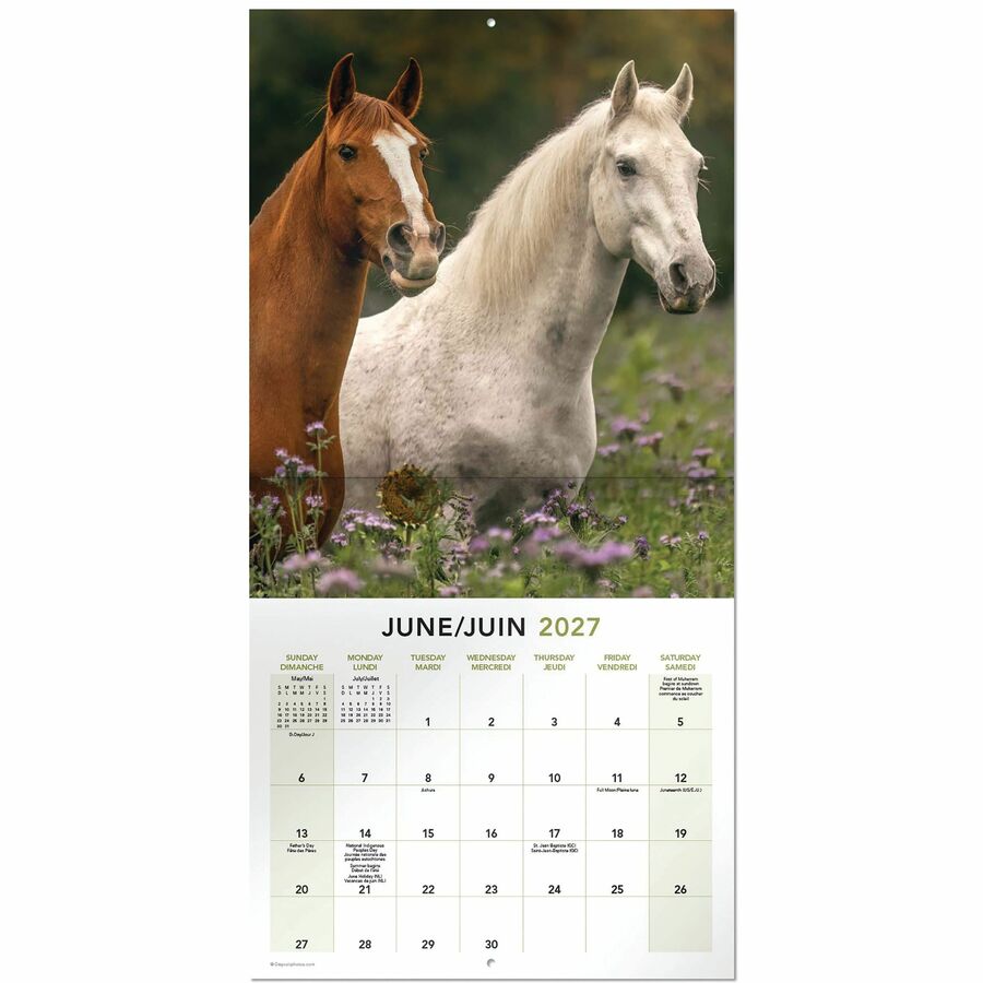 Calendrier mural Mead&reg; 2027 de 16 mois, Chevaux