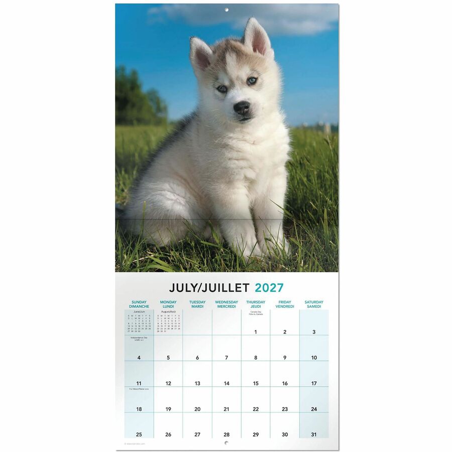 Calendrier mural Mead&reg; 2027 de 16 mois, Chiots