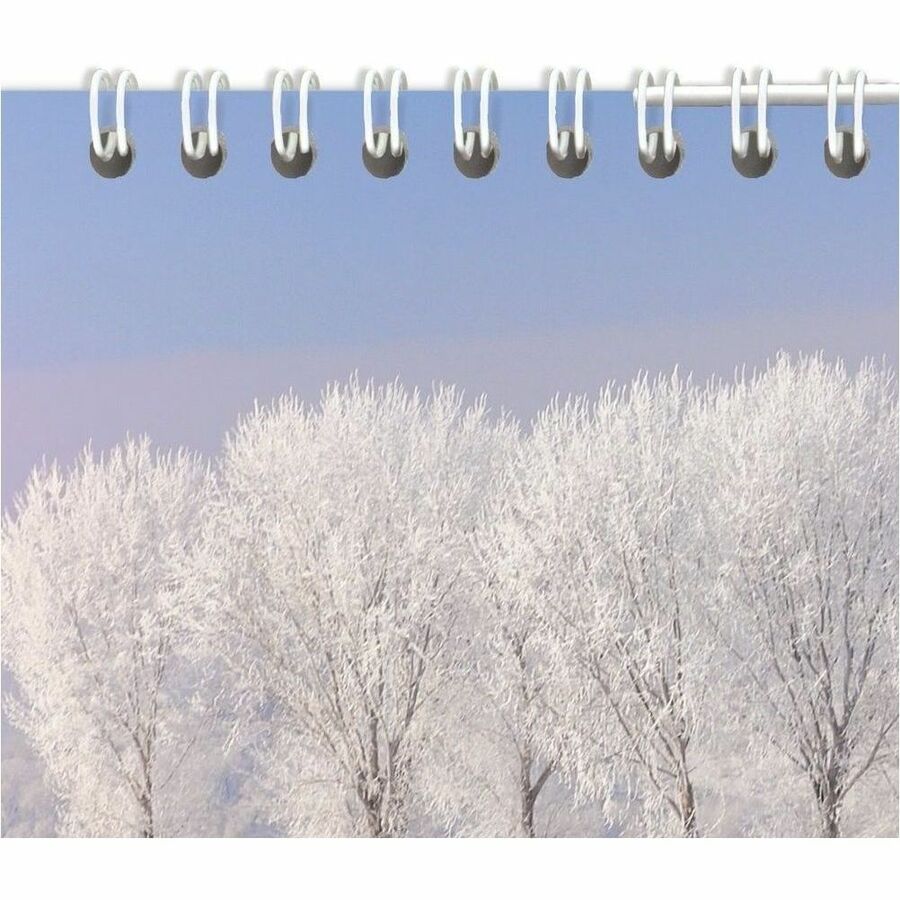 At-A-Glance Scenic 3-Month Wall Calendar - Large Size - Monthly - 14 Month - December 2023 - January 2025 - 3 Month Single Page Layout - 12" x 27" White Sheet - Wire Bound - Multi - Chipboard, Paper - Full-Color Scenic Photos, Bleed Resistant Paper, Unrul