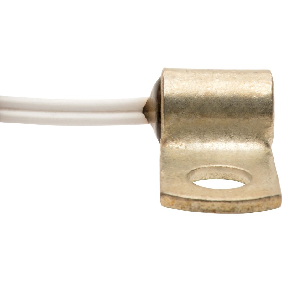 Eaton Tripp Lite Series Medical-Grade Temperature Sensor for Healthcare Power Modules, 2 ft. (0.6 m)