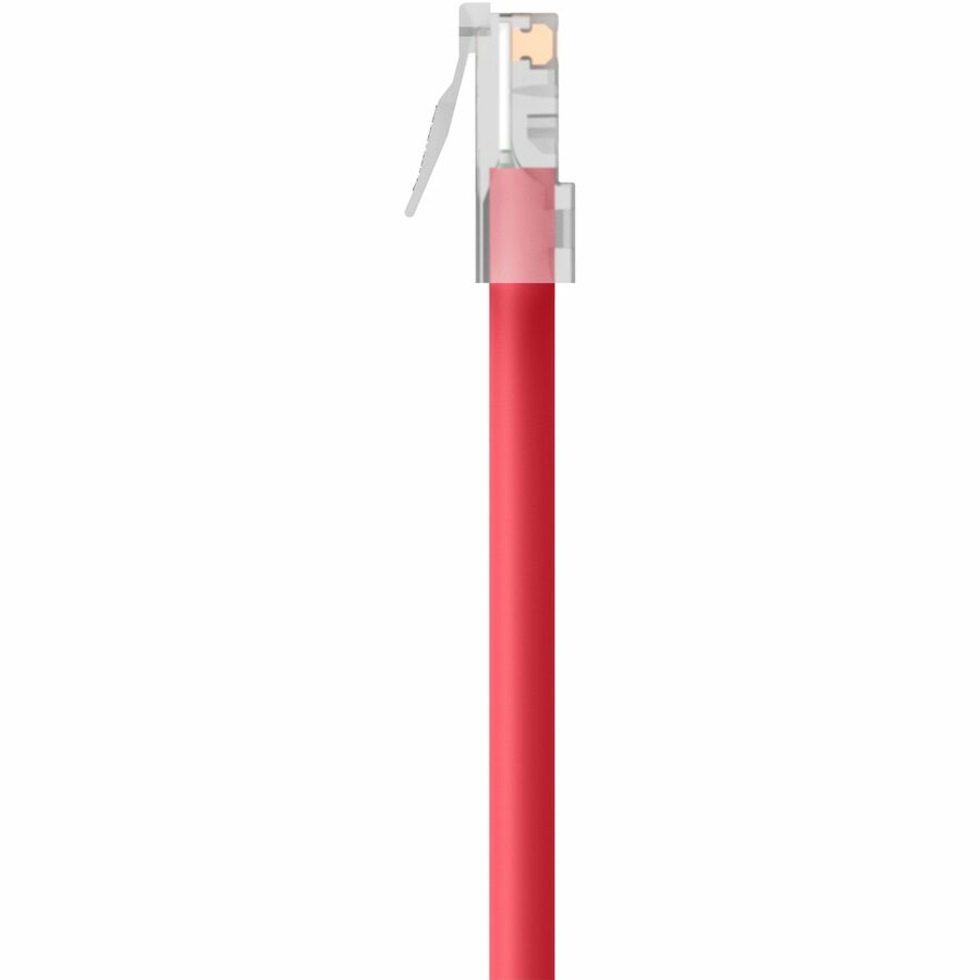 Belkin Cat5e Patch Cable - RJ-45 Male - RJ-45 Male - 12ft - Red