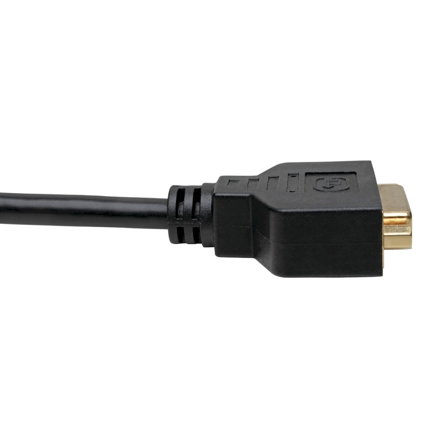 Eaton Tripp Lite Series DisplayPort to DVI Adapter Video Converter, Black (M/F), 1 ft. (0.31 m)