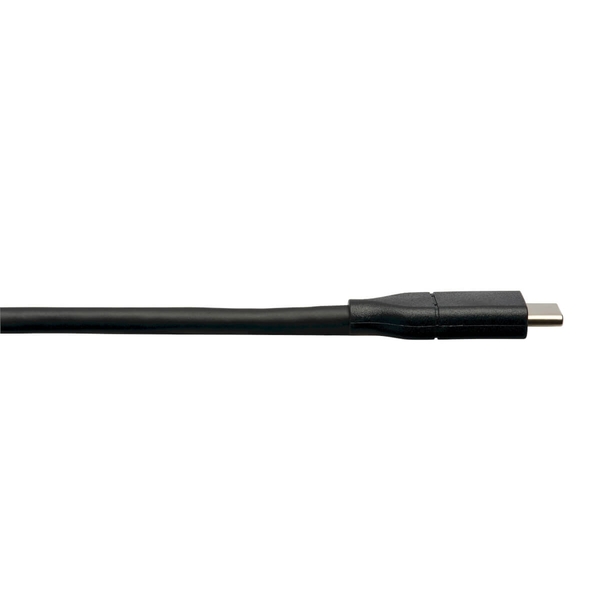 USB-C TO DISPLAYPORT ADAPTER CABLE BLK 6